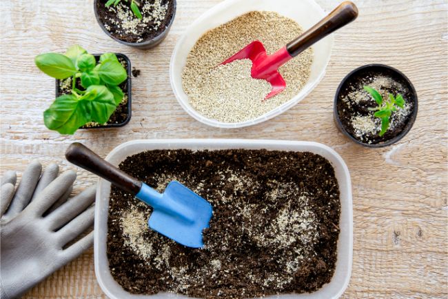 mixing potting soil for indoor plants