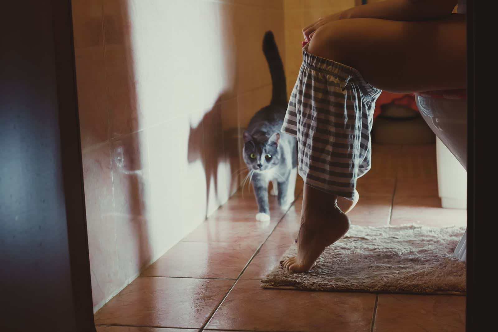 the cat guards the woman in the bathroom while she pees