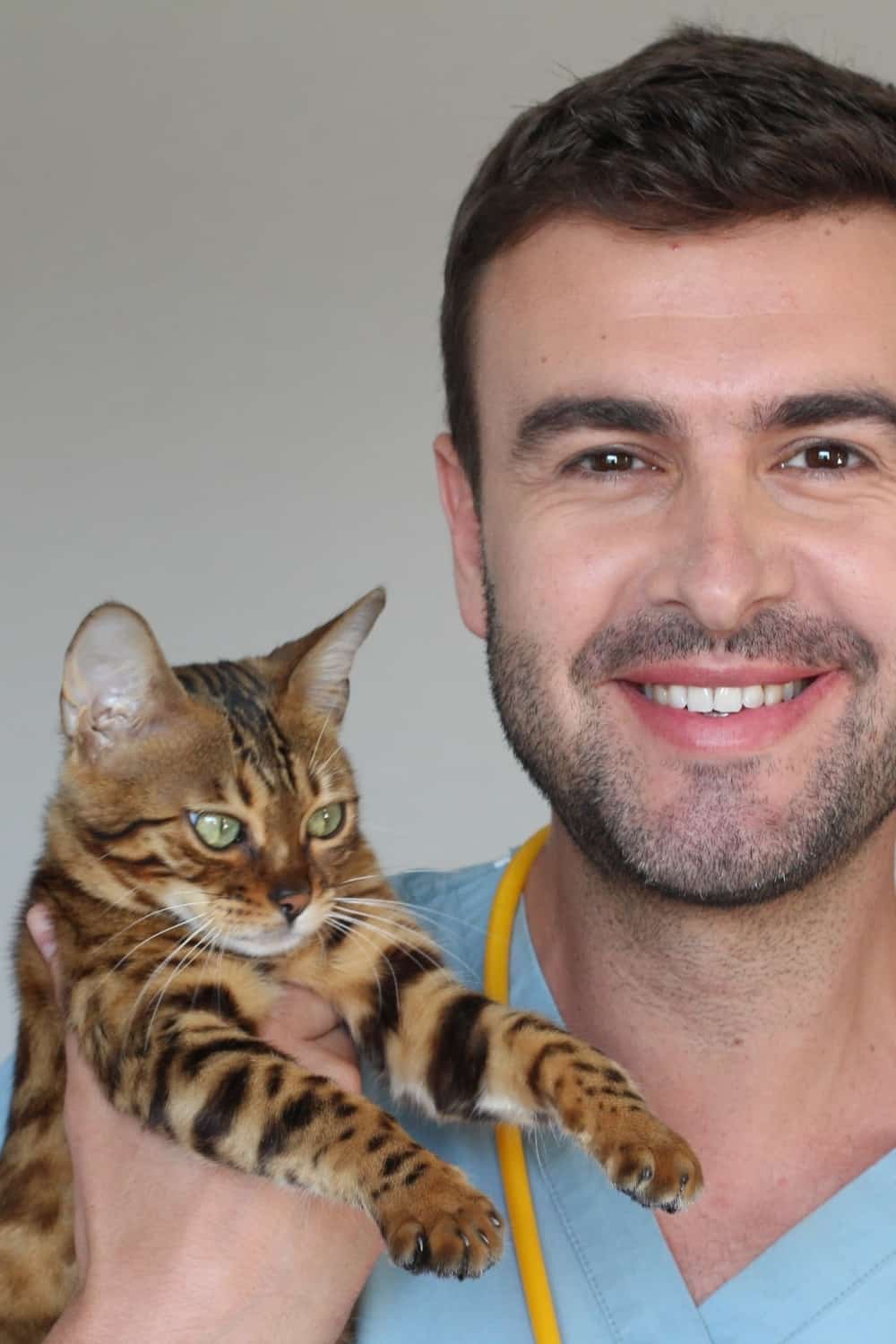 the vet holds a Savannah cat in his hands