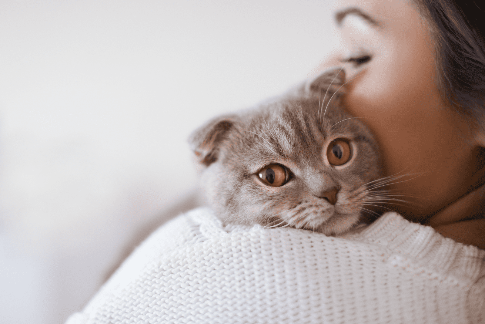 the woman hugged the cat in her arms