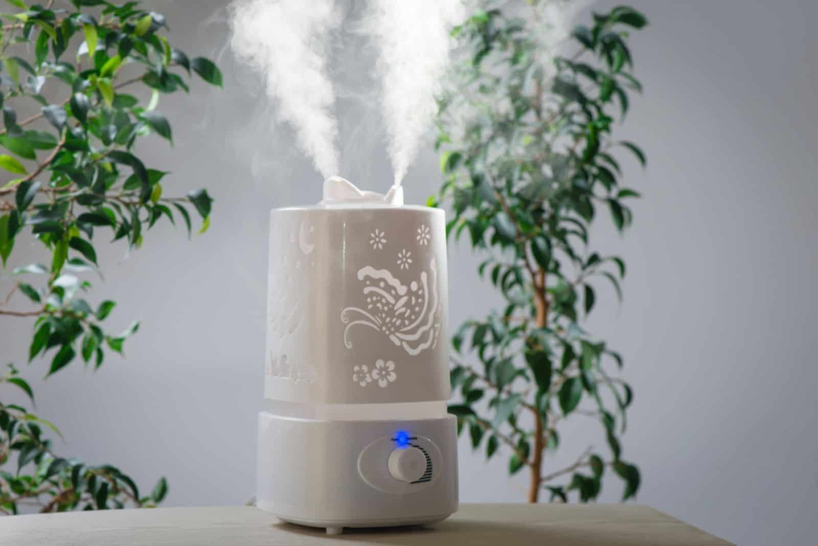 ultrasonic humidifier in the house