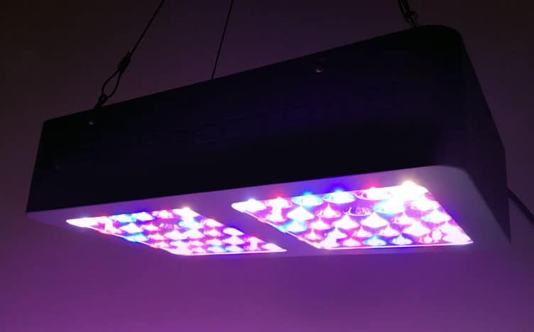 viparspectra 300w led grow light review