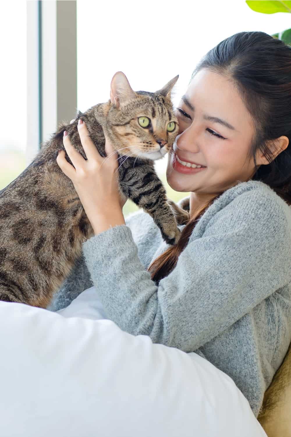 woman holding tabby cat