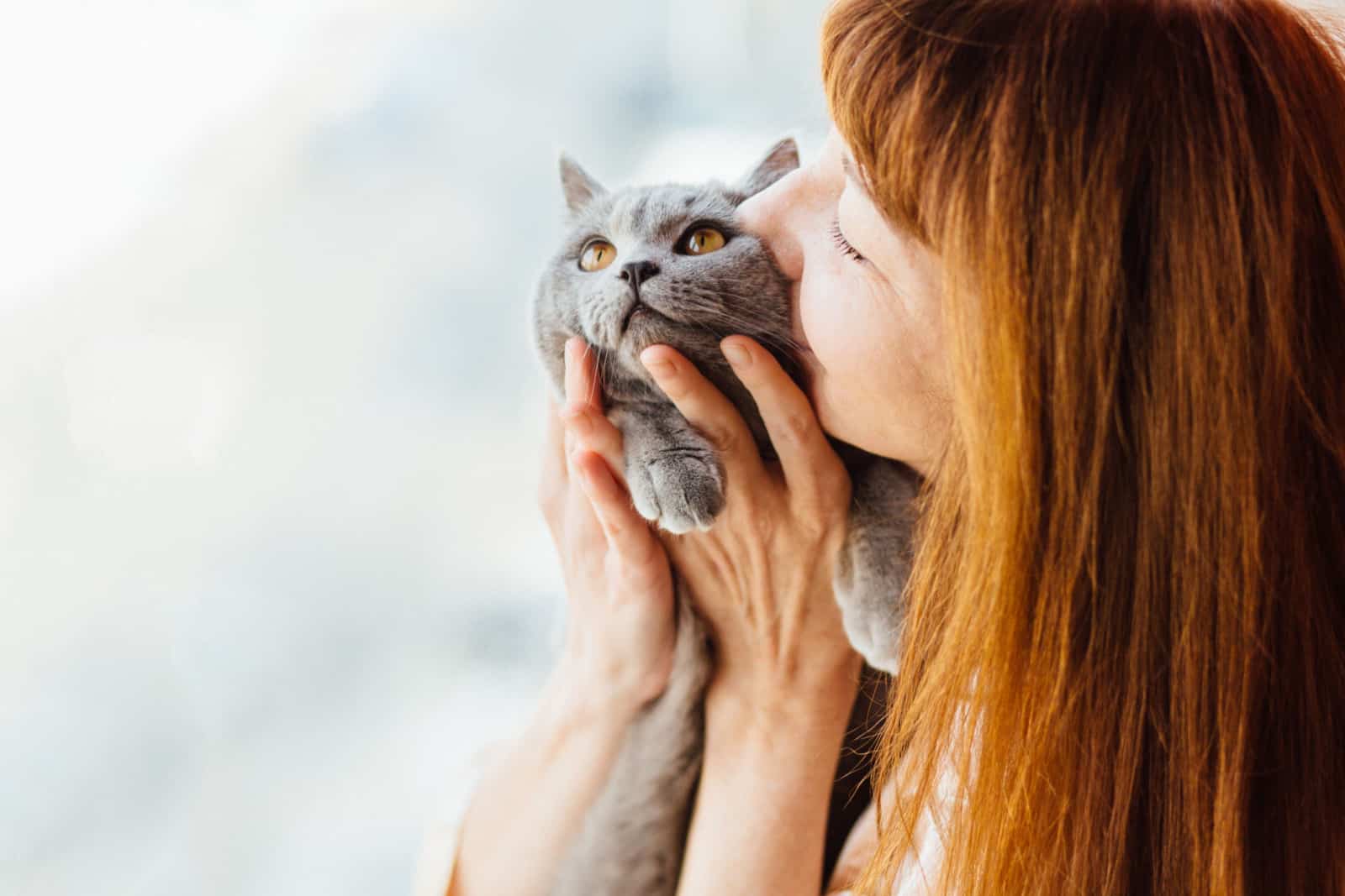 woman kisses a grey cat