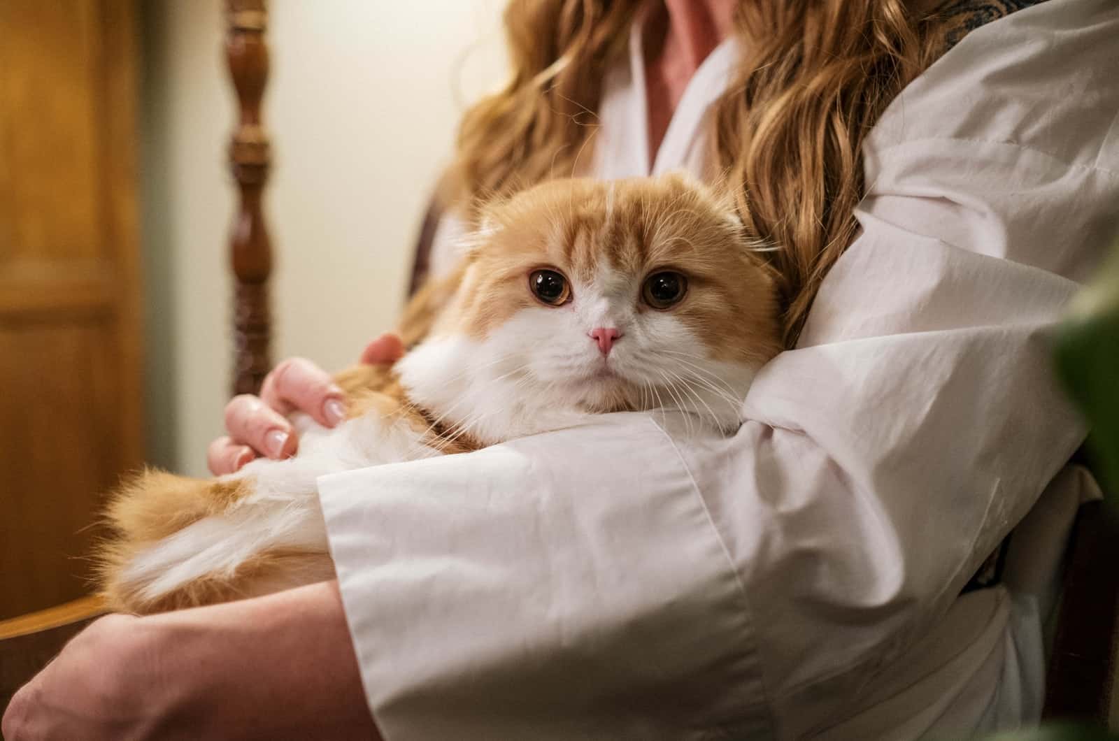 woman pets cat