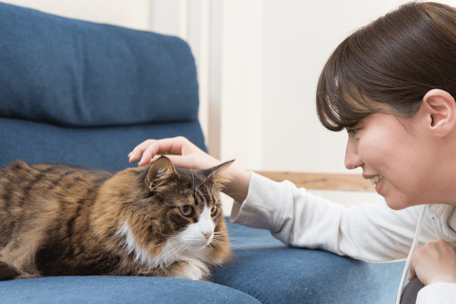 woman petting Maine Coons while sitting on the couch