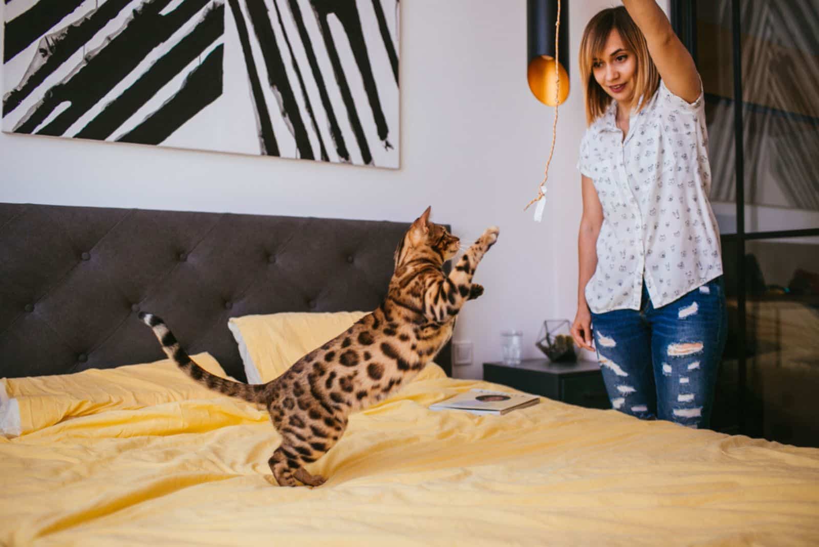 woman playing with bengal cat