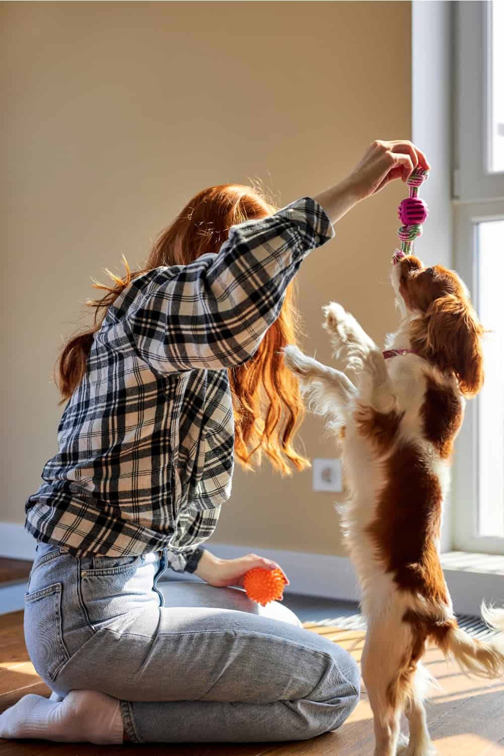 woman playing with dog