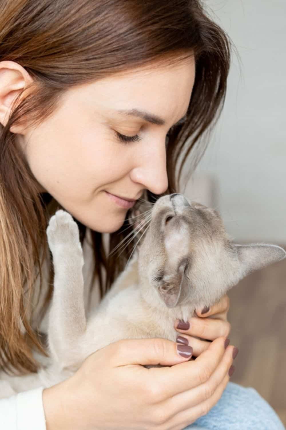 young woman cuddling with cat