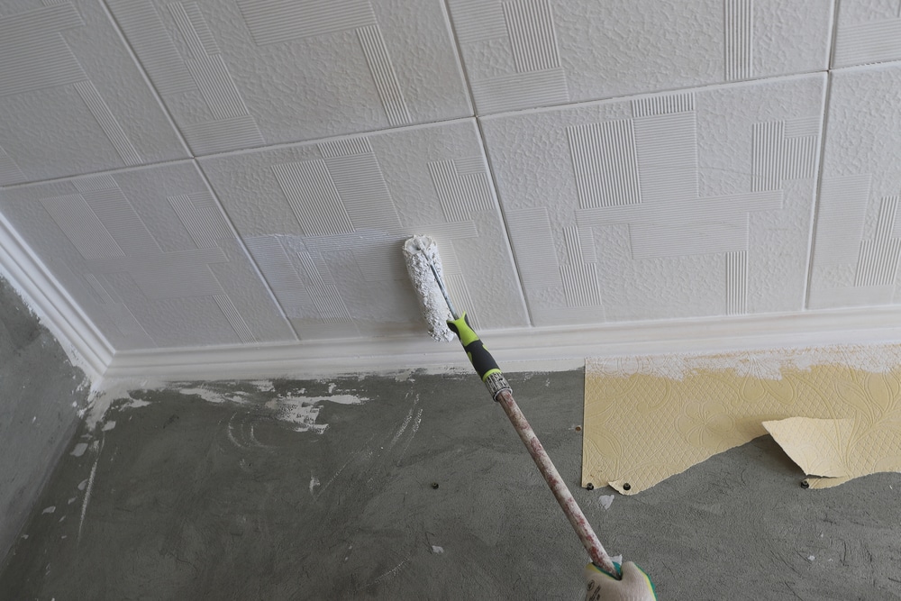 5 Best Paint Primers For Bathroom Ceiling