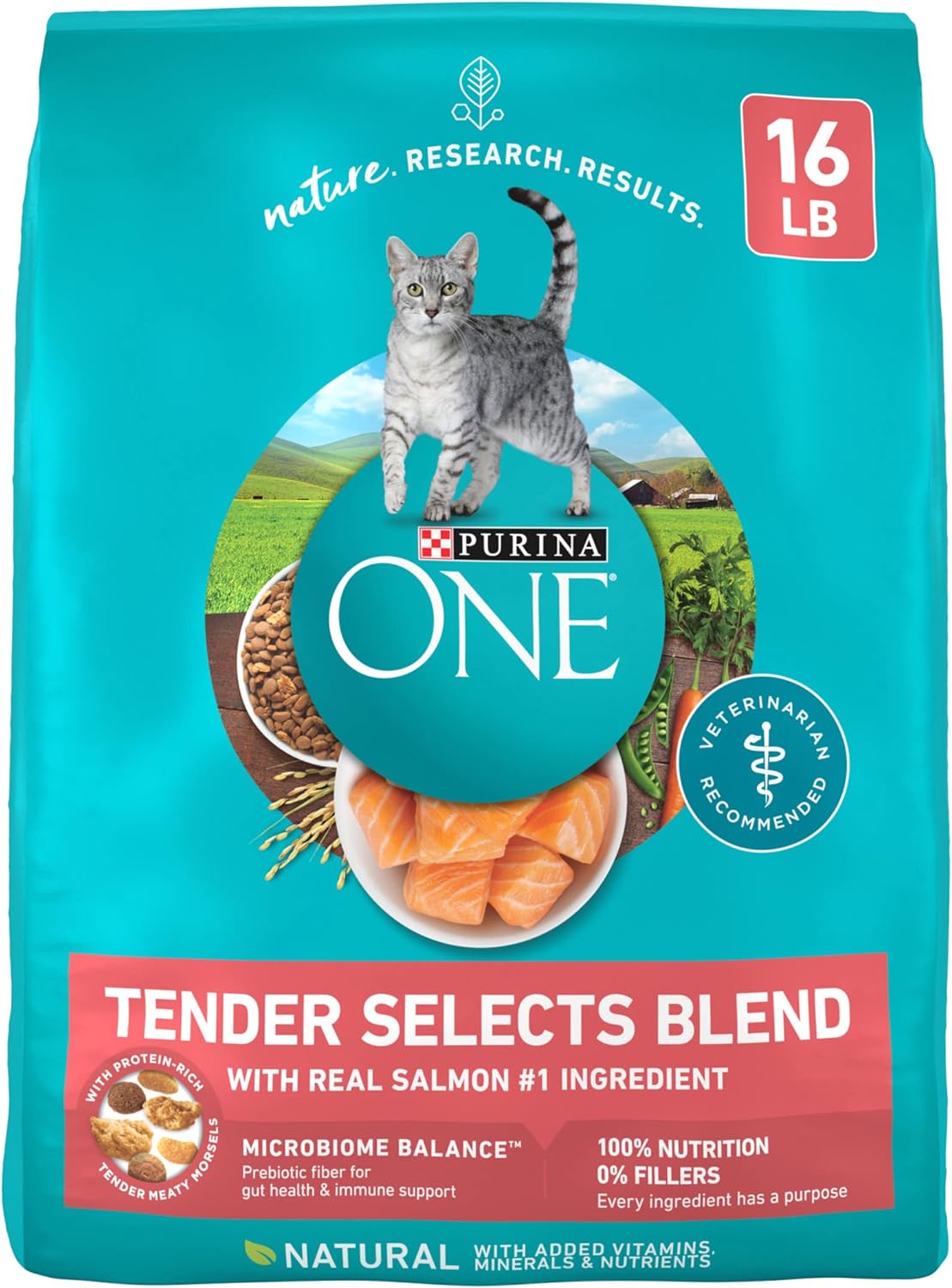 Purina ONE Natural Dry Cat Food