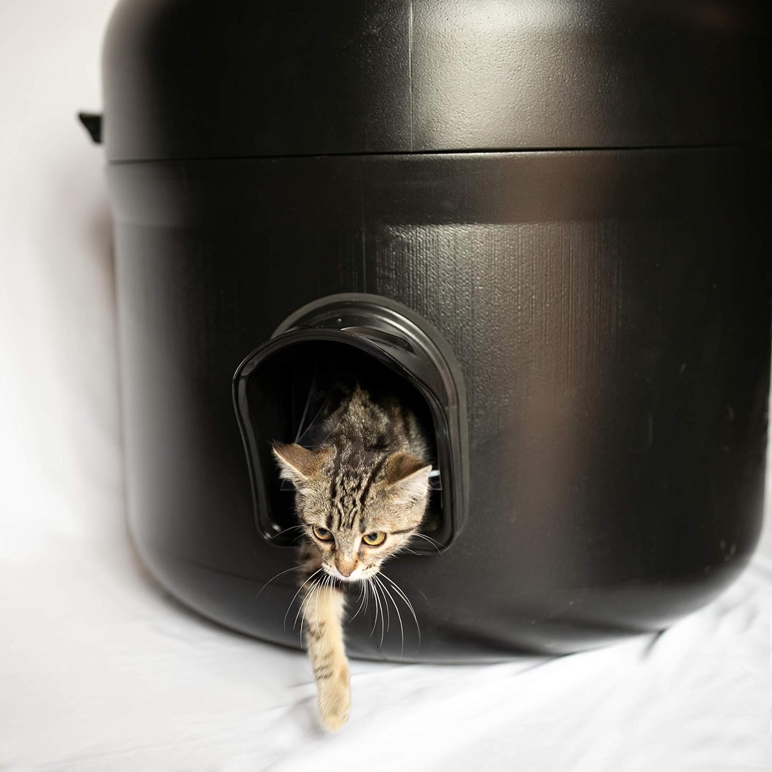 The Kitty Tube Cat House