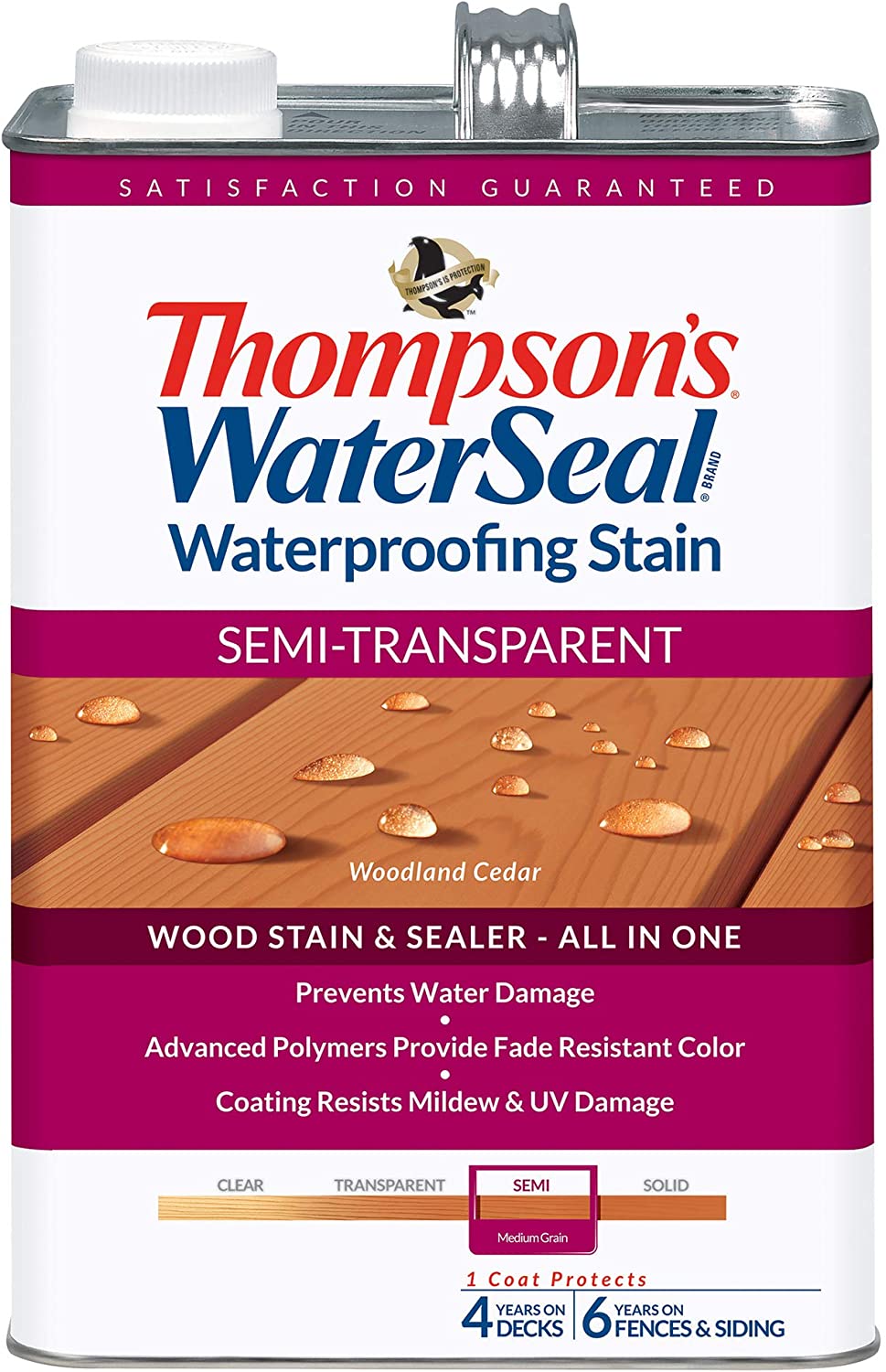 Thompson's WaterSeal Semi-Transparent Waterproofing Wood Stain