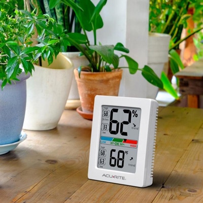 Best Hygrometer Reviews