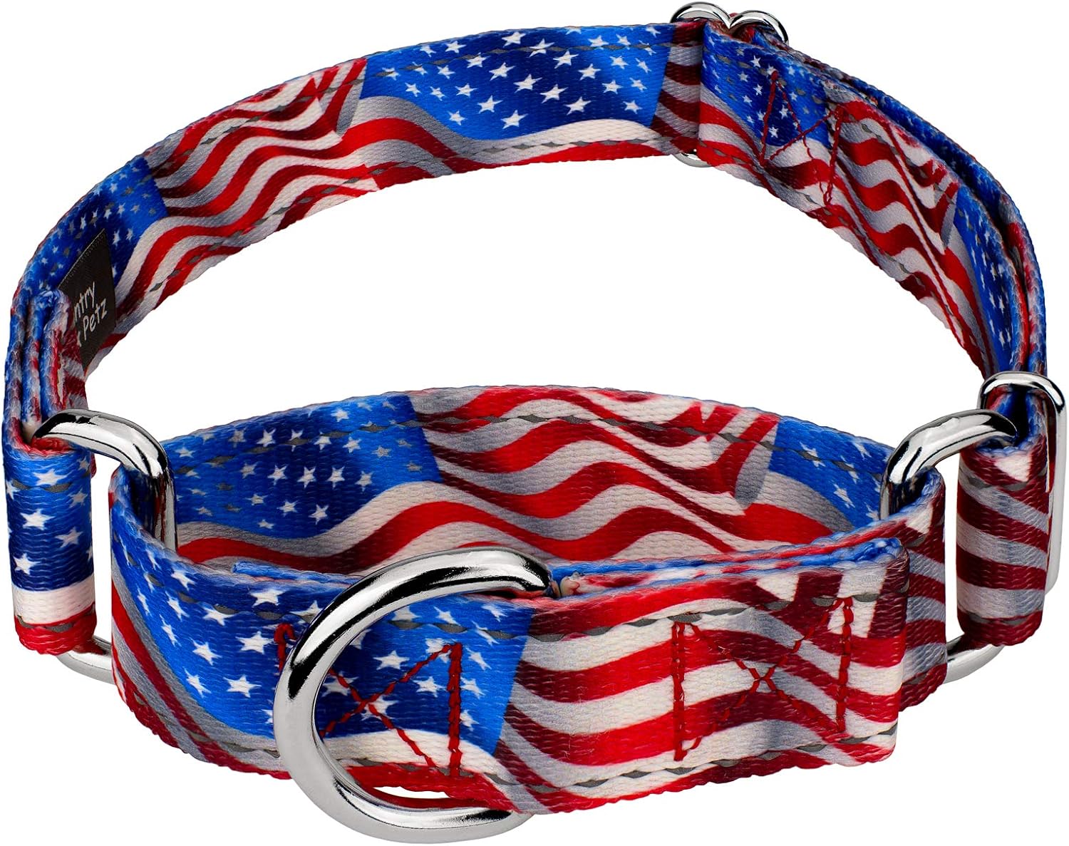 Country Brook Petz - Flying Free Reflective Martingale Dog Collar Collection