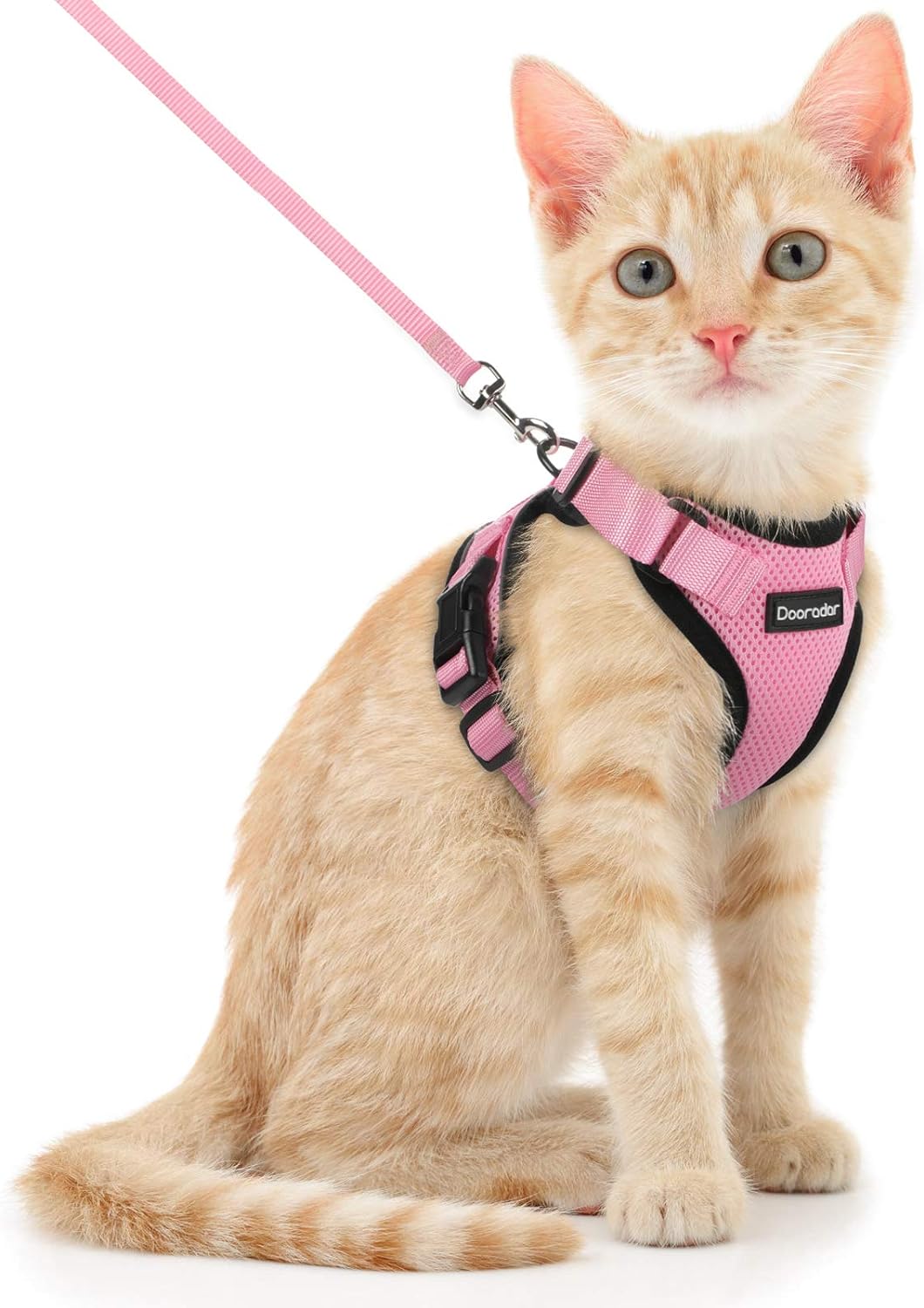 Dooradar Cat Harness and Leash Set