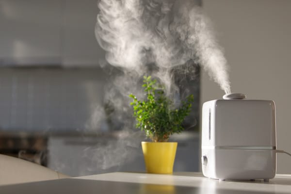 Humidifier running in a kitchen