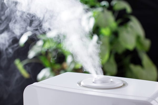 Large humidifier mist