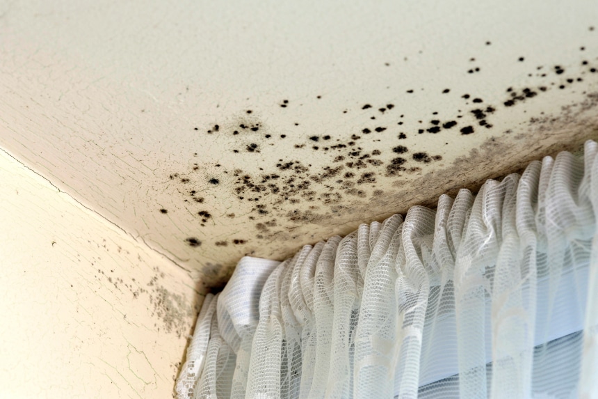 Mold growth on the ceiling of a home near a window