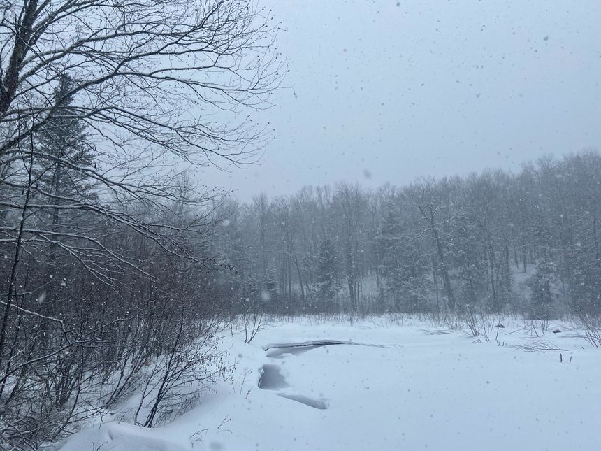 Nimbostratus clouds in the White Mountains of New Hampshire