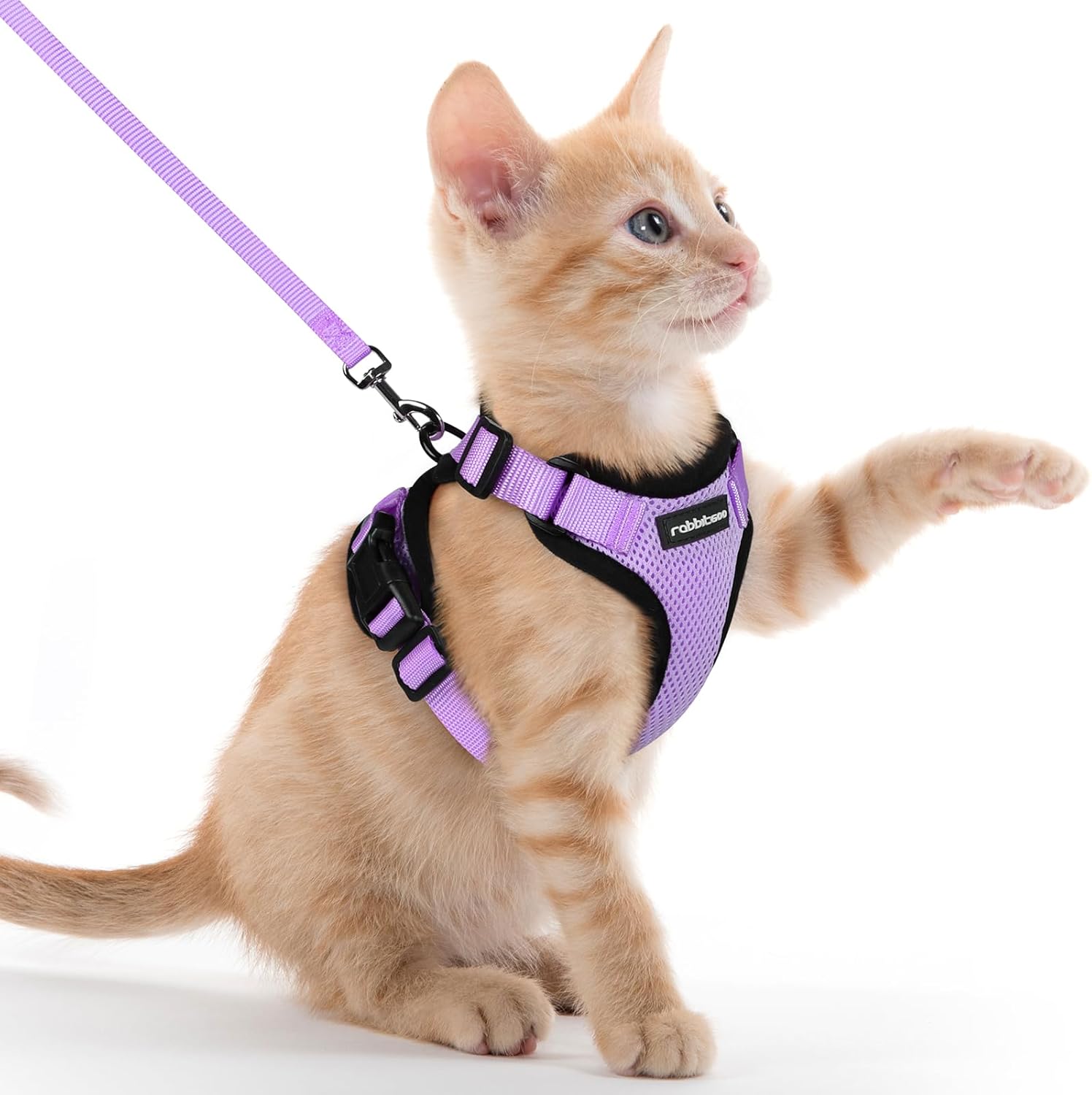 Rabbitgoo Cat Harness and Leash