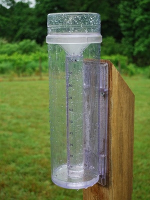 Rain gauge