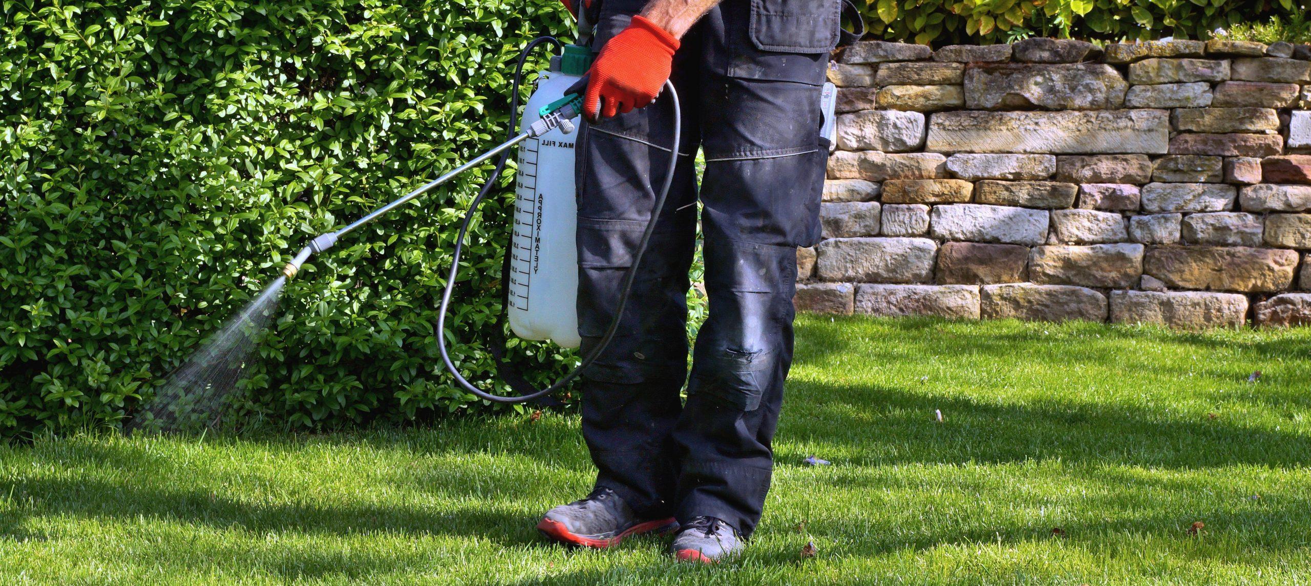 4 Best Pump Sprayers for Staining Fences