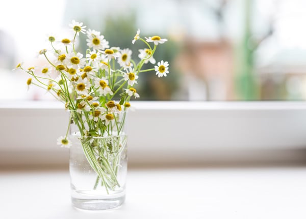 Vase on sunny windowsill