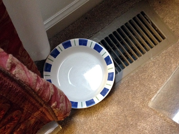 Water bowl on HVAC heat register